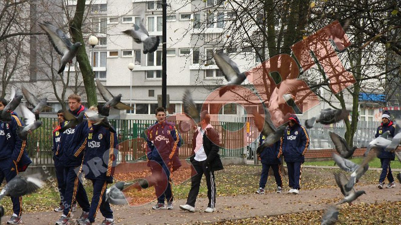 Au pus câinii pe tricolori**