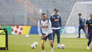 Răzvan Marin, luat la întrebări de 7 eurotricolori prin intermediul ProSport! Ce le răspunde mijlocașul României la EURO 2024 lui Ionuț Lupescu, Alex Chipciu, Marius Niculae, Ionel Ganea sau Nicolae Stanciu! EXCLUSIV