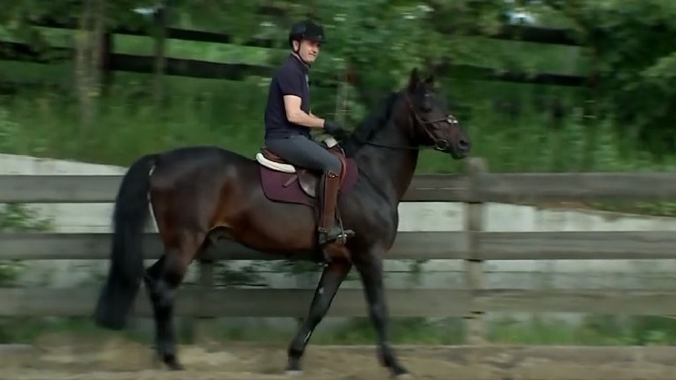 Marius Croitoru va avea parte de o primă specială dacă FC Botoșani câștigă titlul. Patronul Valeriu Iftime i-a promis cadou un cal. „Este un fel de Chindriș sau de Moruțan | VIDEO