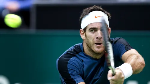 Del Potro a câștigat turneul de la Rotterdam