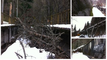 SPECIAL - Paragină olimpică: așa arată pârtia de la Sinaia. Explicația oficială: "S-a mișcat muntele, trebuie reconstruită"