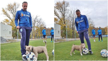 Laurențiu Reghecampf, antrenament cu noul „jucător” de la Universitatea Craiova! Imagini drăguțe din Bănie | FOTO & VIDEO