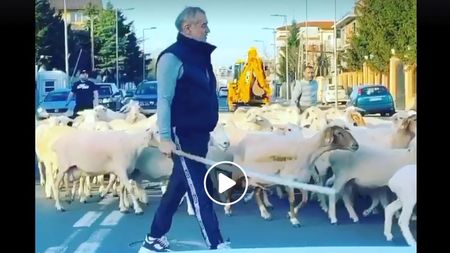 Gigi Becali nu se teme de coronavirus! „Latifundiarul”, filmat din nou în timp ce-și conducea turma de oi prin Pipera! | VIDEO FABULOS
