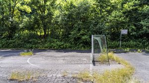 Baza sportivă construită de Ceaușescu să fie o mândrie a orașului Constanța a ajuns o junglă! Cum arată acum ruina din complexul Triunghi