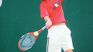 Hănescu întregește delegația pentru Olimpiadă