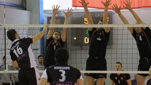 Tomis, Dinamo și Steaua, calificare la pas