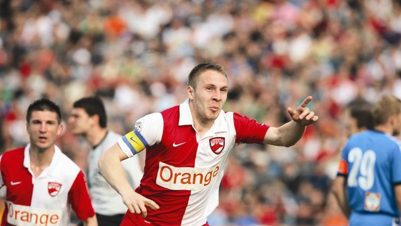 "Câini" fără apărare