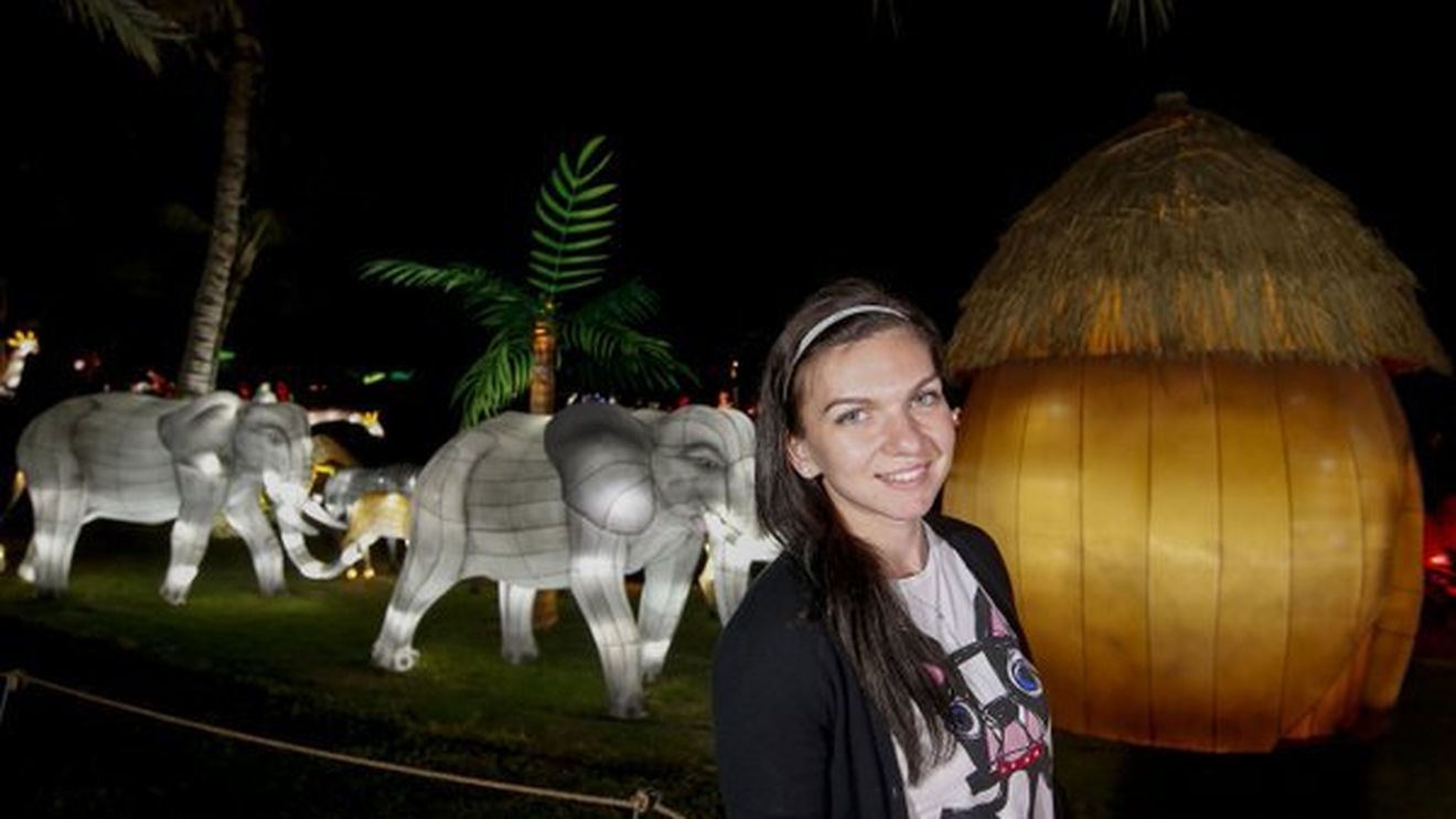 IMAGINEA ZILEI | Simona și elefanții: peisaj spectaculos în Dubai Garden Glow