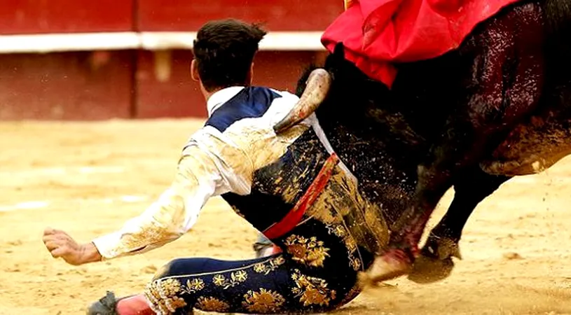 Imagini șocante cu un toreador din Spania. VIDEO | Momentul în care s-a pus în genunchi în fața taurului, iar lucrurile au luat o turnură dramatică