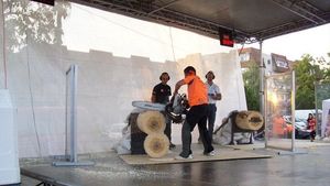 Nicolae Nyamcsuk este reprezentantul României la CM al tăietorilor de lemne