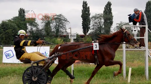 FOTO! Anul lui „Only You”!** Vezi premiul câștigat la Derby-ul de Trap al României