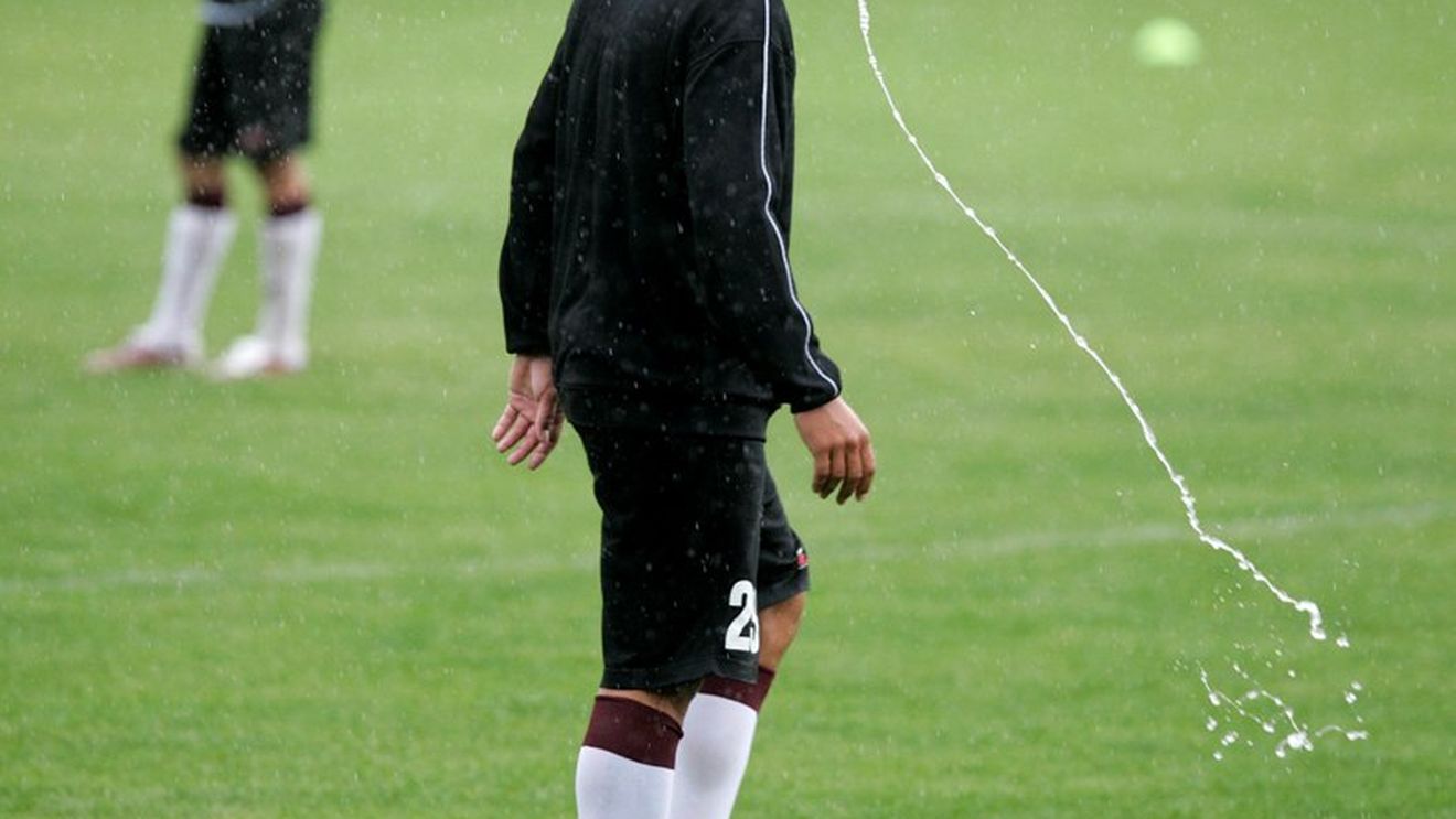 Suspectați de porcină**