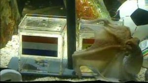 Caracatița Paul a ales: Spania este noua campionă mondială!:)