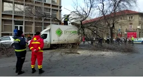 Prima reacție a lui Ionel Dănciulescu, după ce un copac a căzut peste mașina în care se afla soția sa: „Acum suntem la Poliție”. A tras o sperietură groaznică! | EXCLUSIV