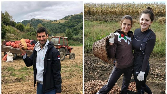 Toamna se numără cartofii! Ce legătură este între Novak Djokovic și campioanele  mondiale la canotaj din România