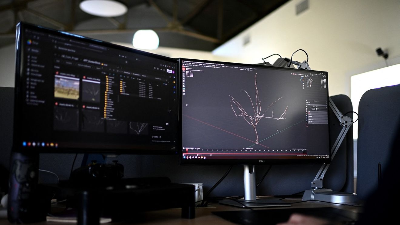 De ce nu rezistă românii în străinătate, când dau de concurența dură. Milionarul cu afaceri în IT dă verdictul: „E o chestiune de educație”