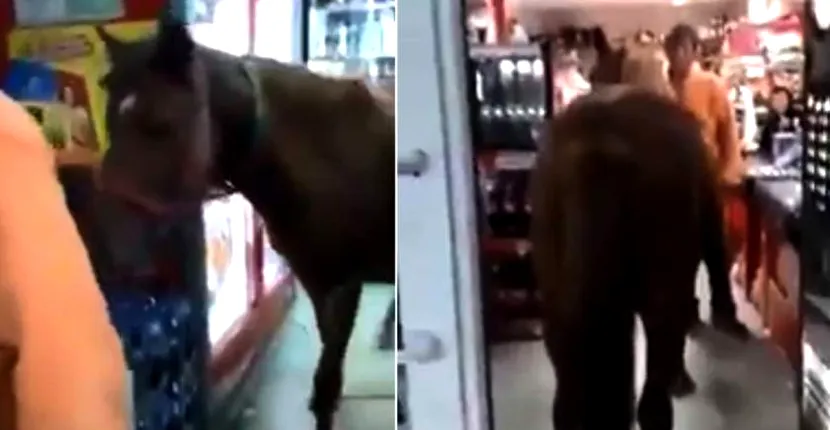 VIDEO | Un bărbat din Buzău a mers cu calul într-un supermarket