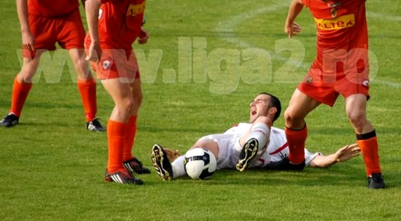 Snagovul la pământ