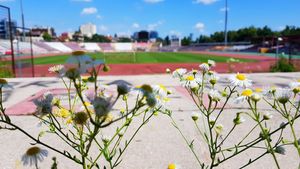 Cine MAI modernizează Groapa? Promisiunea noului președinte dinamovist: „Prioritatea mea este stadionul”. Așa arată arena din Ștefan cel Mare ACUM! Cârpeală, interese și dezinteres | EXCLUSIV