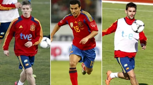 Puyol e out, nici pe Villa nu se poate conta!** Ce opțiuni are Del Bosque și cu cine va ataca Spania la EURO 2012
