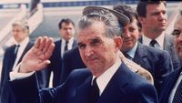 Creația lui Nicolae Ceaușescu se vinde! Orașul colonie industrială din România a scos la licitație stadionul și peste 30.000 mp