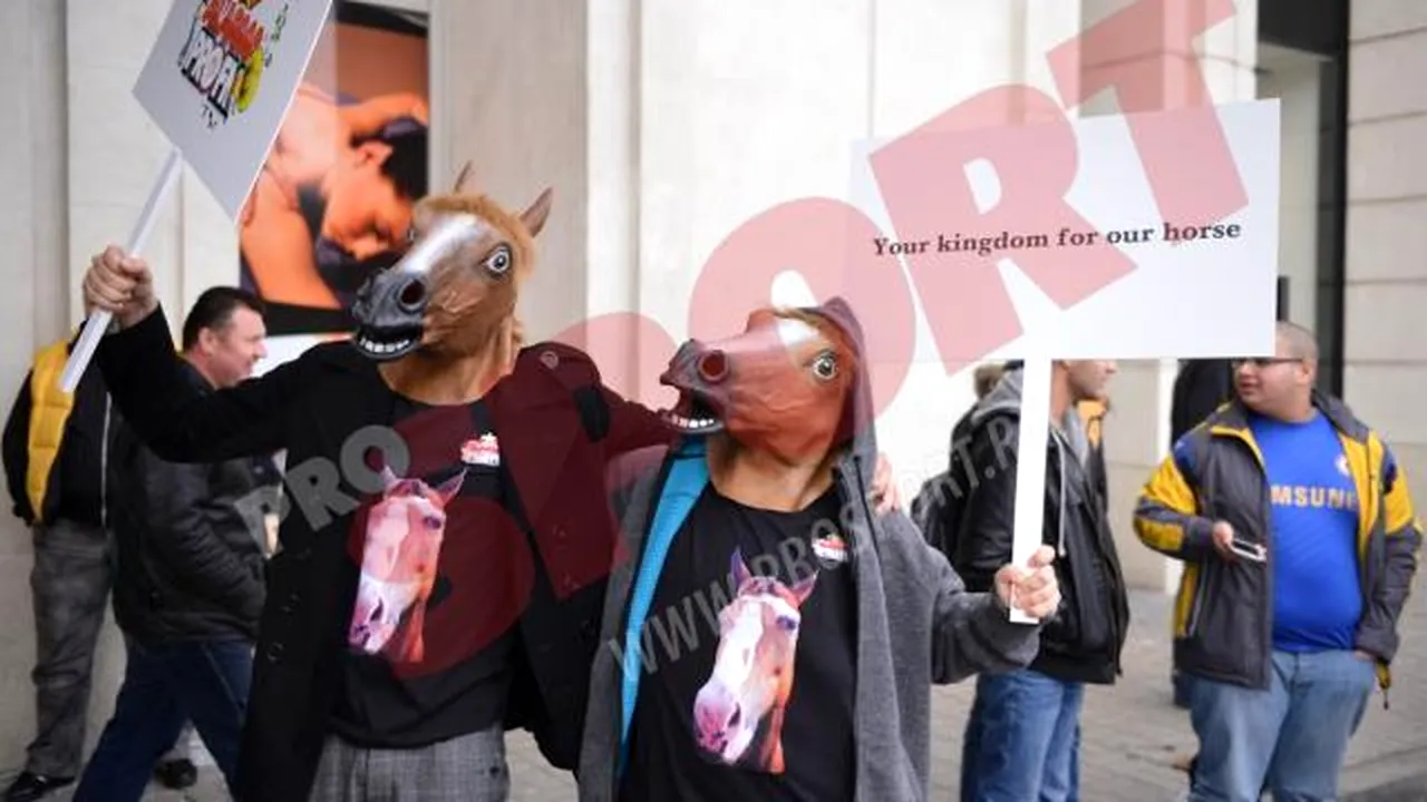 FOTO: Dați un regat pentru un cal? :) ** Englezii, primiți la București cu un mesaj special! Antonia le-a sucit însă privirile