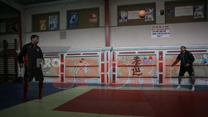 Niculescu și Dănciulescu s-au reprofilat: joacă fotbal-tenis!