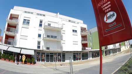 Zotta și Copos lucrează pe "blat"! **Bunea: "L-au furat pe Taher!"