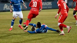 Poza 1