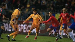 "Serbia nu a arătat nimic! **La un gol a fost henț, la altul a fost un ofsaid pe care l-am văzut din Spania!"