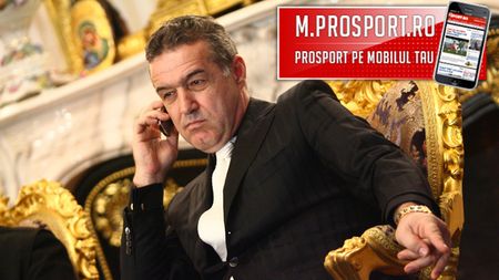 Becali a aflat de Sovsic!** "Mi-a zis MM de el" Ce condiție pune Gigi ca să-l aducă la Steaua