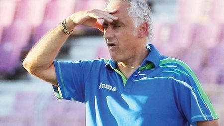 Mandorlini, pe făraș?