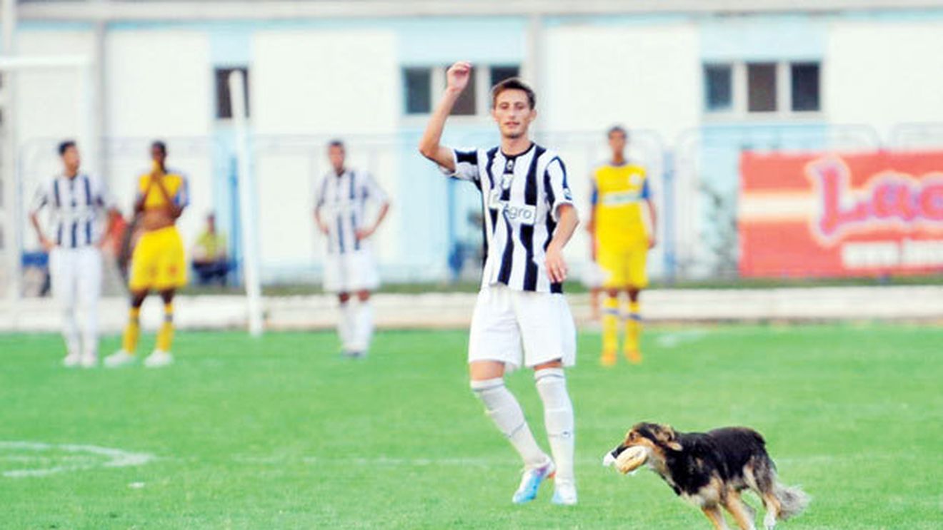 RUȘINOS!** Două lucruri de râs la Giurgiu: jocul lui "U" și un câine care a stat 7 minute pe gazon!