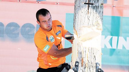 Nicolae Nyamcsuk, noul șef la tăiat de lemne