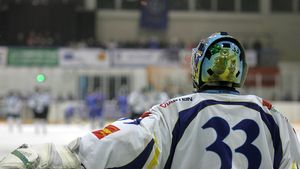 Naturalizări în masă la naționala de hochei. Guvernul a acordat cetățenia română pentru șase componenți ai lotului național