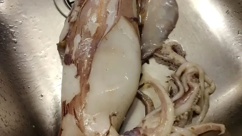 Imagini virale! Ce a găsit un bărbat în interiorul unui calamar pe care l-a cumpărat de la piață