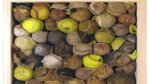 Povestea mingilor de tenis. De la pielea umplută cu păr de cal, la "ozn-urile" care ating peste 260 km/h