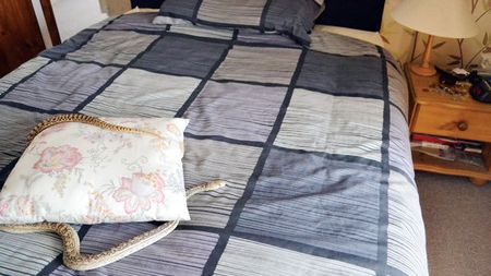 Șarpe în patul lui Rusescu!** Golgheterul a descoperit o reptilă în camera lui din hotelul de la stadion