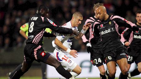 Dalmat este cercetat pentru violență voluntară!