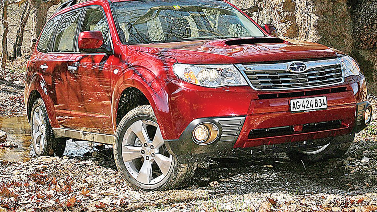 Pădurarul s-a întors!