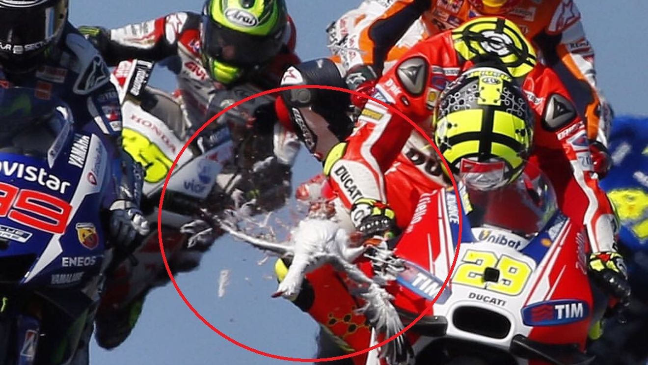VIDEO | Andrea Iannone a spulberat cu capul un pescăruș în cursa MotoGP din Australia