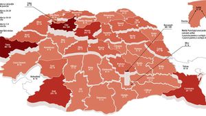 Harta sportului din România. Cum sunt răspândite echipele pe județe în cele mai importante discipline