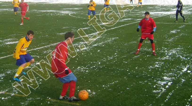 Le-a plăcut la Izvorani