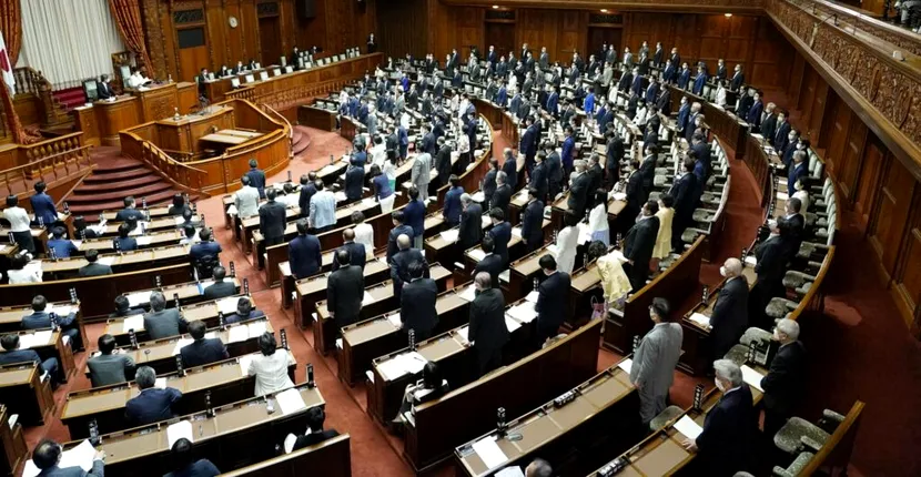 Japonia pedepsește „injuriile online”. Infractorii vor fi pedepsiți cu închisoare de până la un an