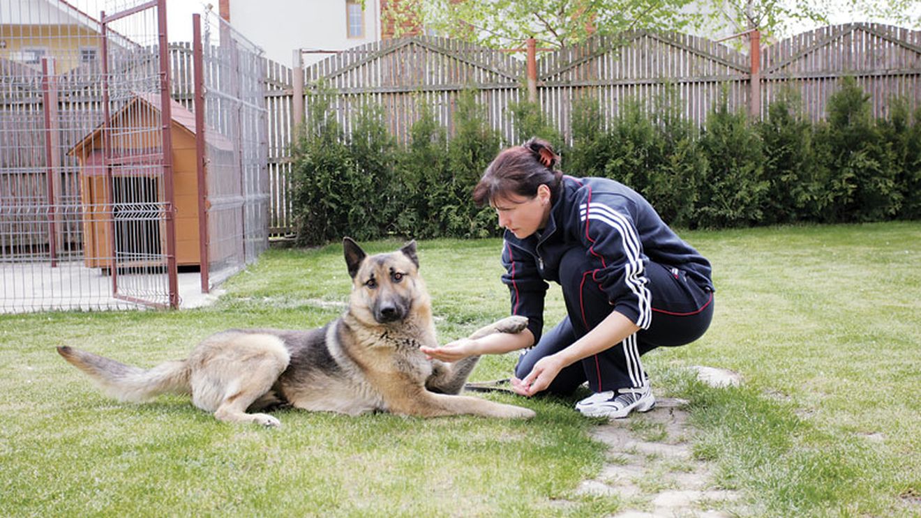 „Te iubesc, Krim!"