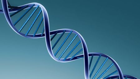 Ți-ai dorit vreodată să fii nemuritor? Omul poate ajunge să trăiască 20.000 de ani. Un expert de la Insititutul de Biogerontologie Moleculară explică cum se poate ajunge la o asemenea vârstă