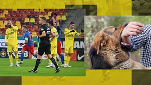 Prima reacție a fotbalistului din Superliga mușcat de un câine: „Am intrat să-i despart!”. Cum se simte după ce a fost la un pas de o tragedie și când va reveni pe teren. EXCLUSIV