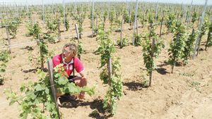 Moșierul Anca! A renunțat total la fotbal pentru marea sa dragoste, agricultura