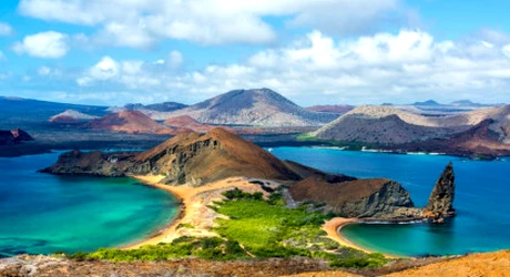 Specia din Insulele Galapagos care pare să EVOLUEZE în sens INVERS