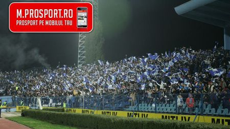 Mititelu: "Datorită lui Păunescu s-a creat un mit cu aceste culori"